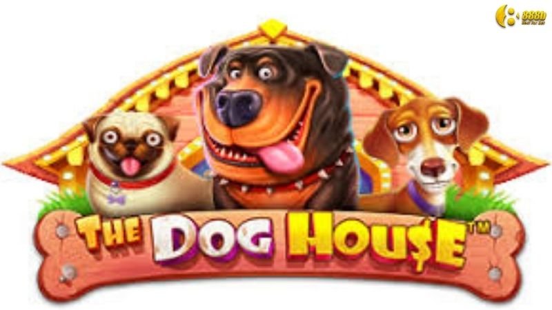 no-hu-the-dog-house